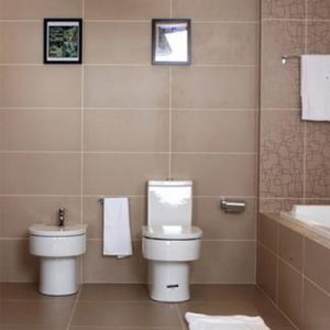 干貨分享：家庭常用衛(wèi)浴產品介紹